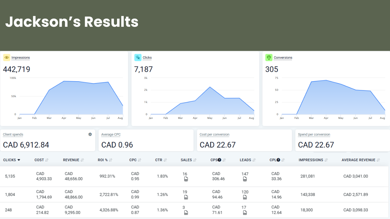 Jackson's real ad dashboard, showing revenue, ad spend and leads