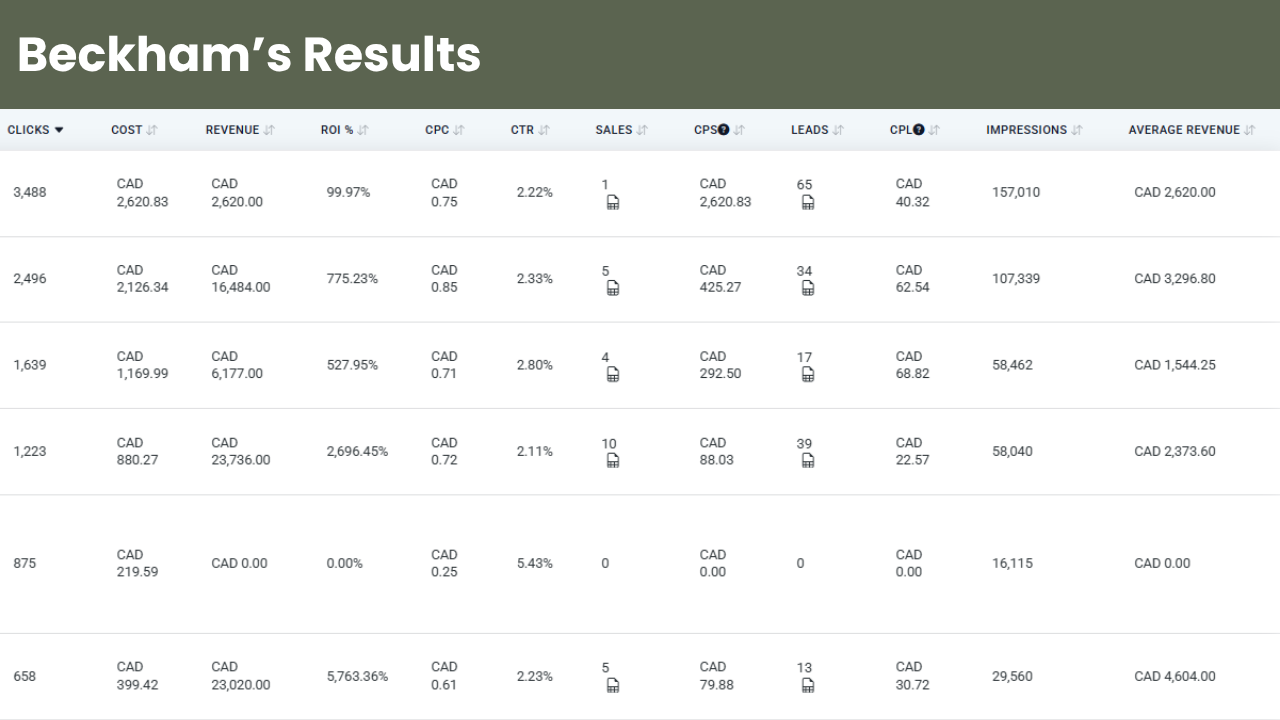 Beckham's real ad dashboard, showing revenue, ad spend and leads