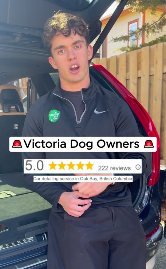 Real client ad for a mobile detailer speaking to dog owners