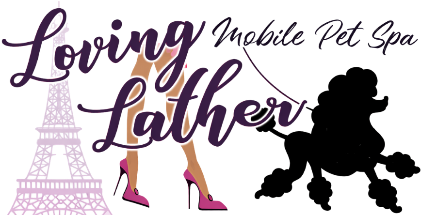 Dog Grooming Chino Hills