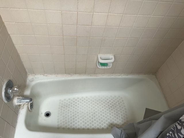 Tub to Shower Bathroom Remodel