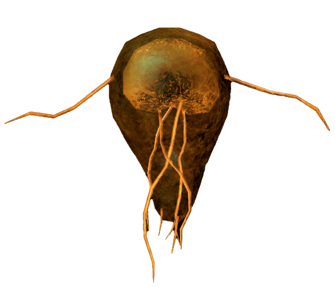 Giardia, a parasite microbe