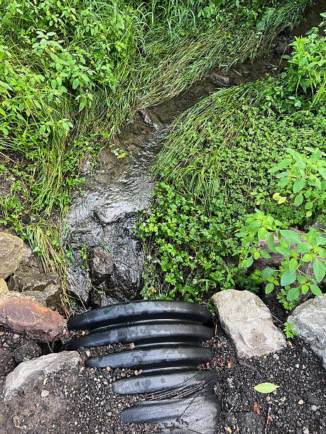 Storm Drain Maintenance