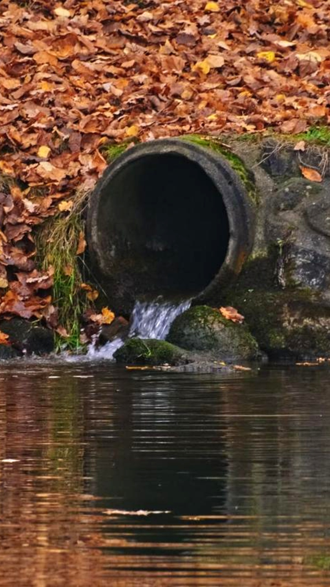 Overland Park Drainage Basin & Retention