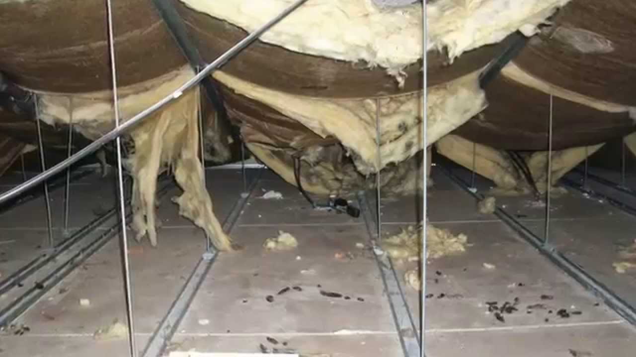 Losgetrokken isolatie op de zolder