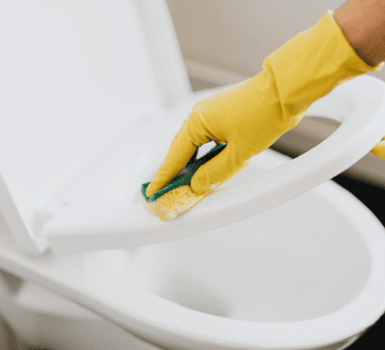 Winter Park Standard Cleaning