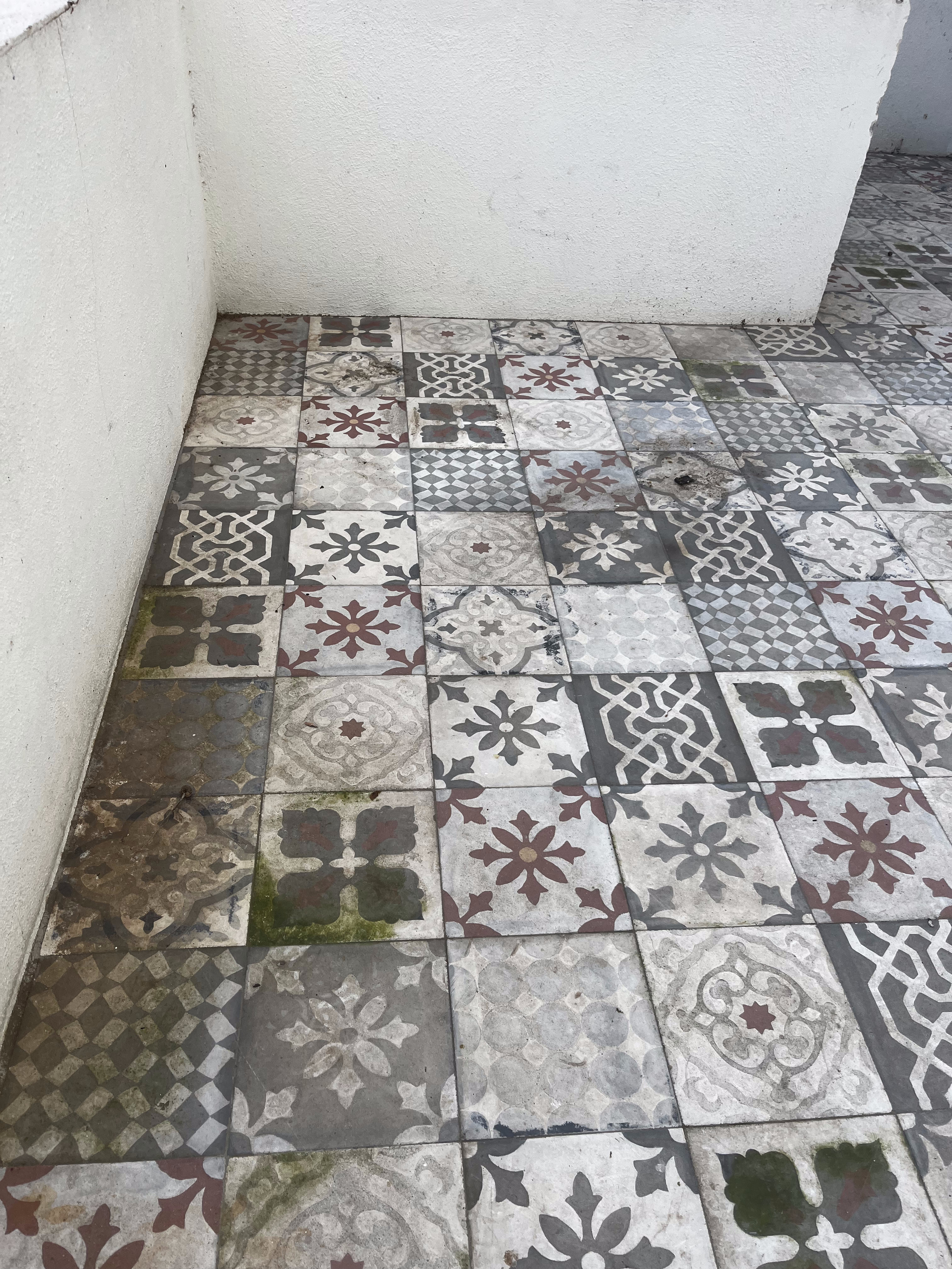 Nettoyage de terrasse en tomettes à Marseille — avant