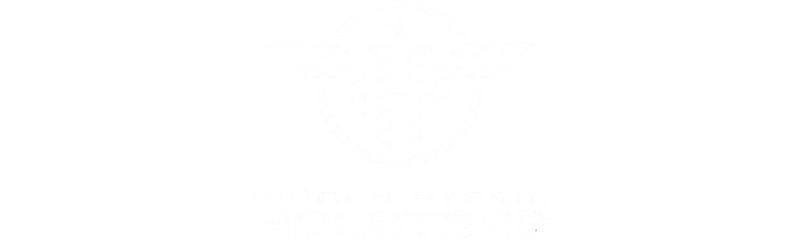 Hidden Hybrid Holsters