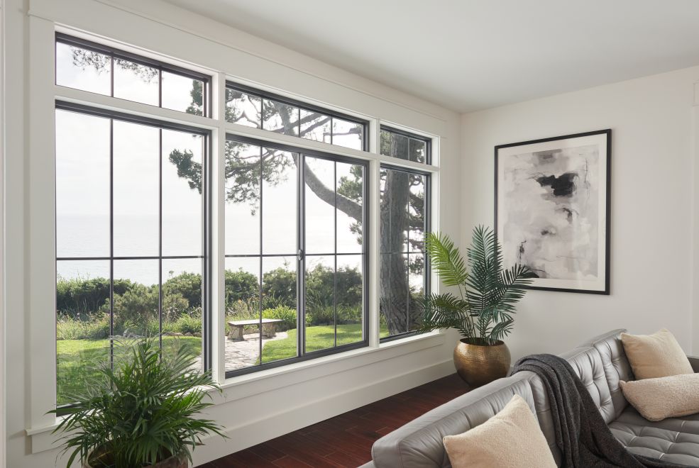Window