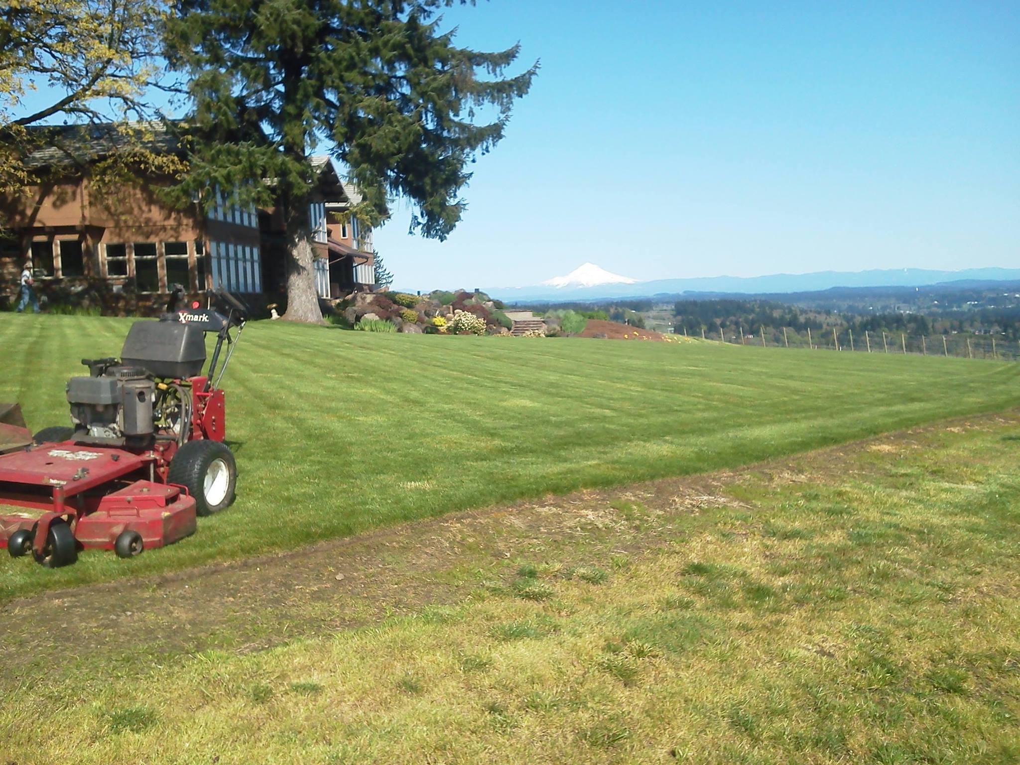 Beautifully renovated yard
