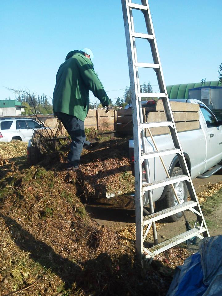 Yard transformation process