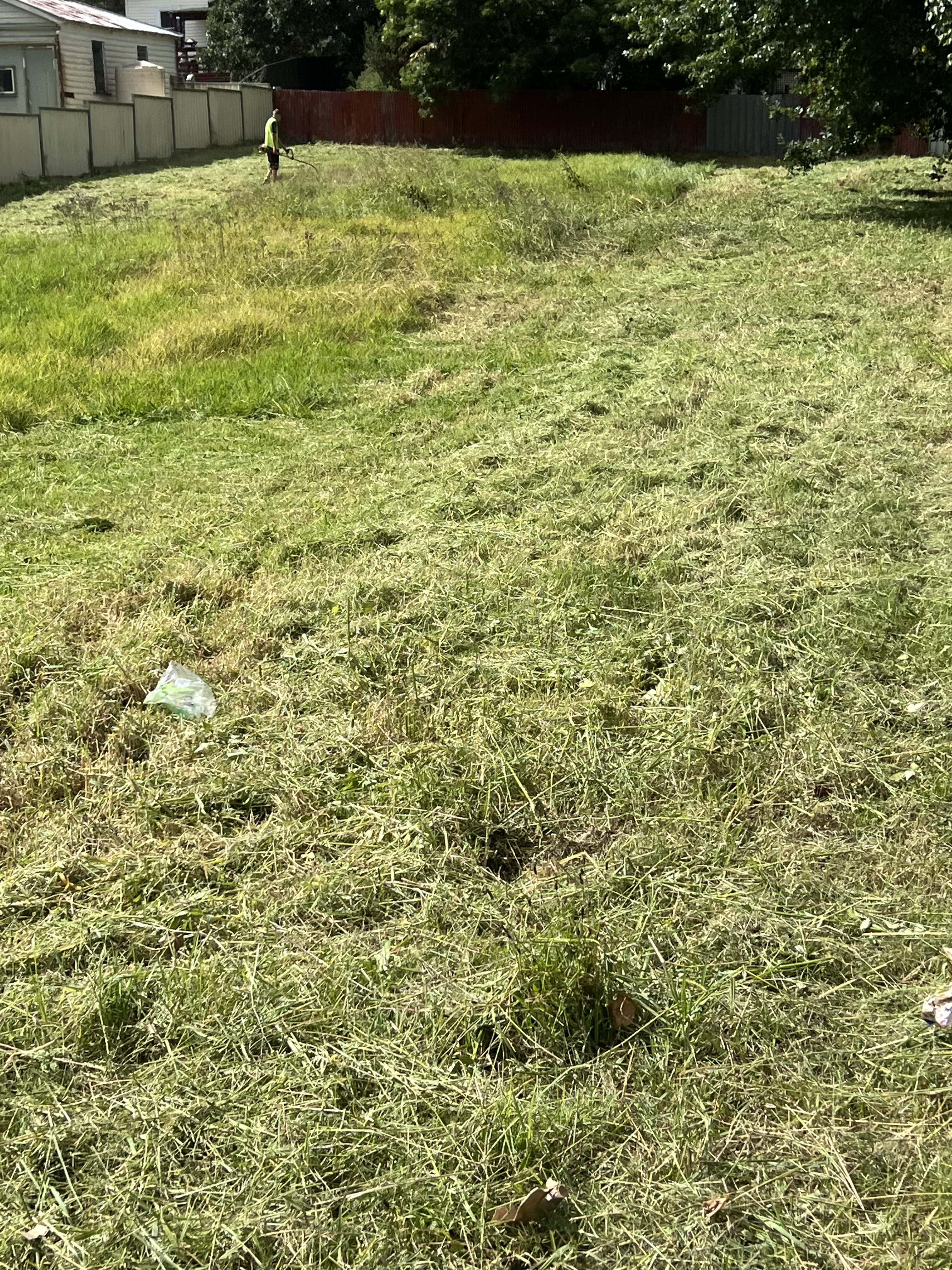 Yard cleanup project