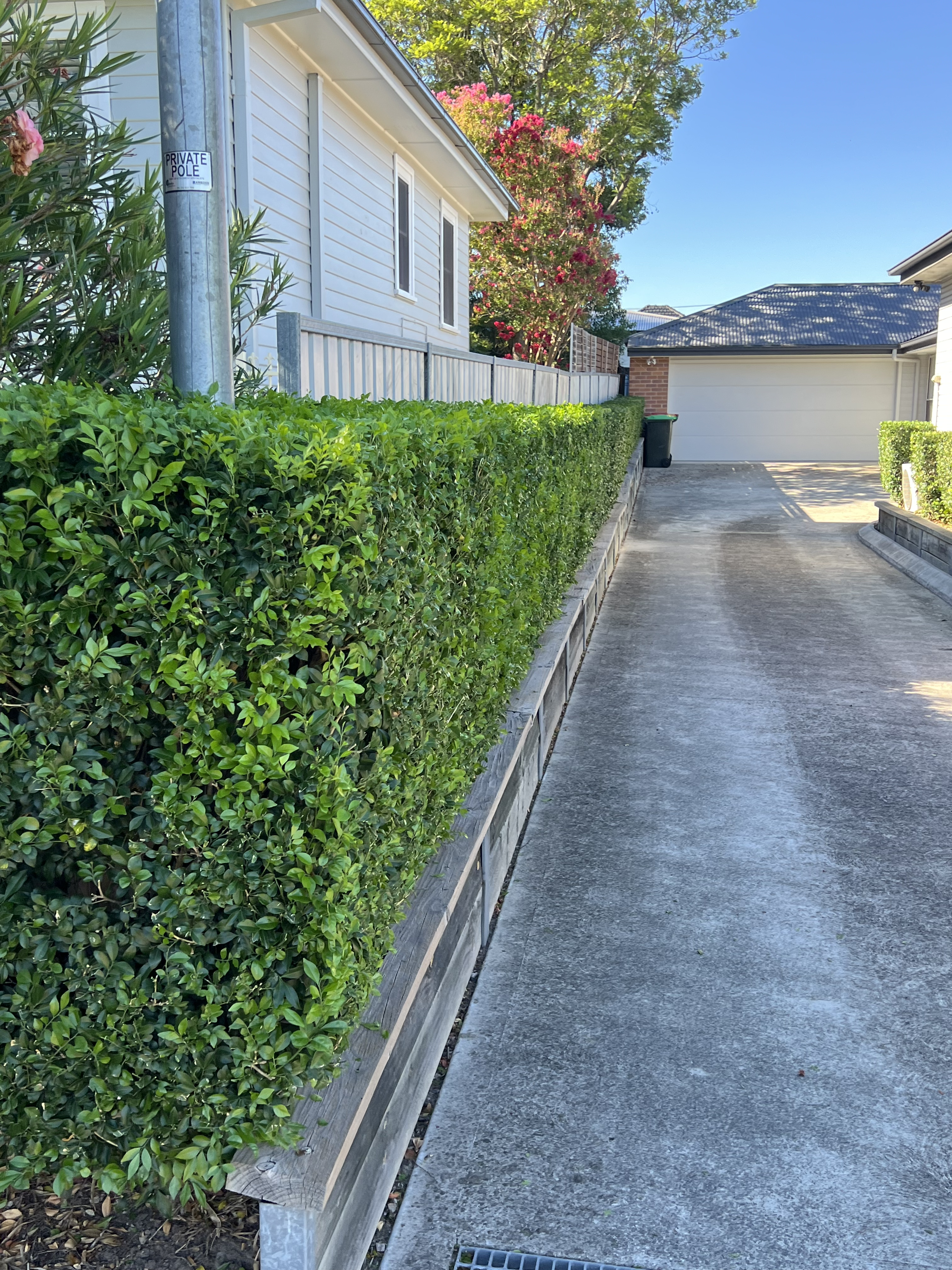 Perfectly shaped hedges