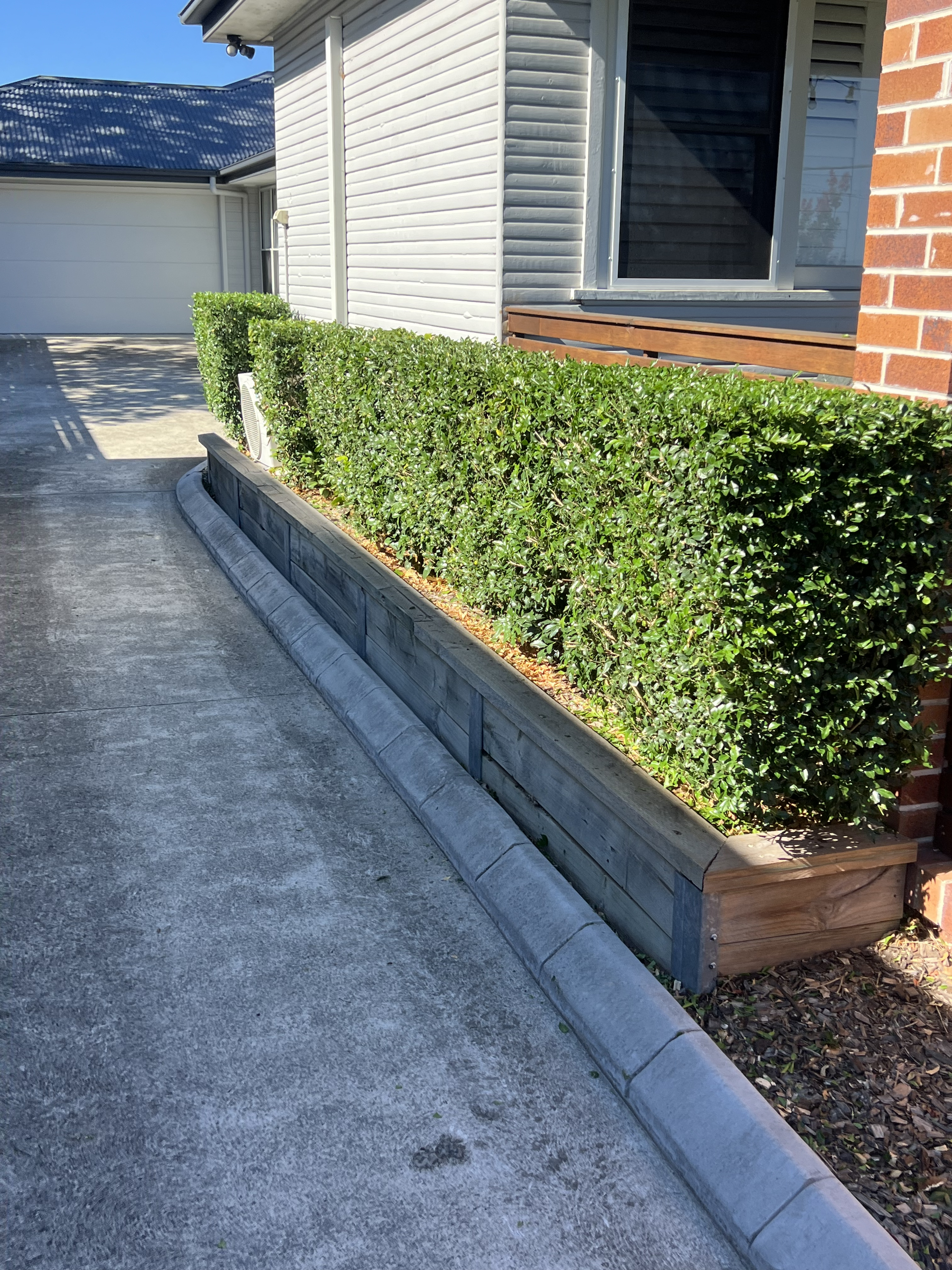 Hedge trimming work