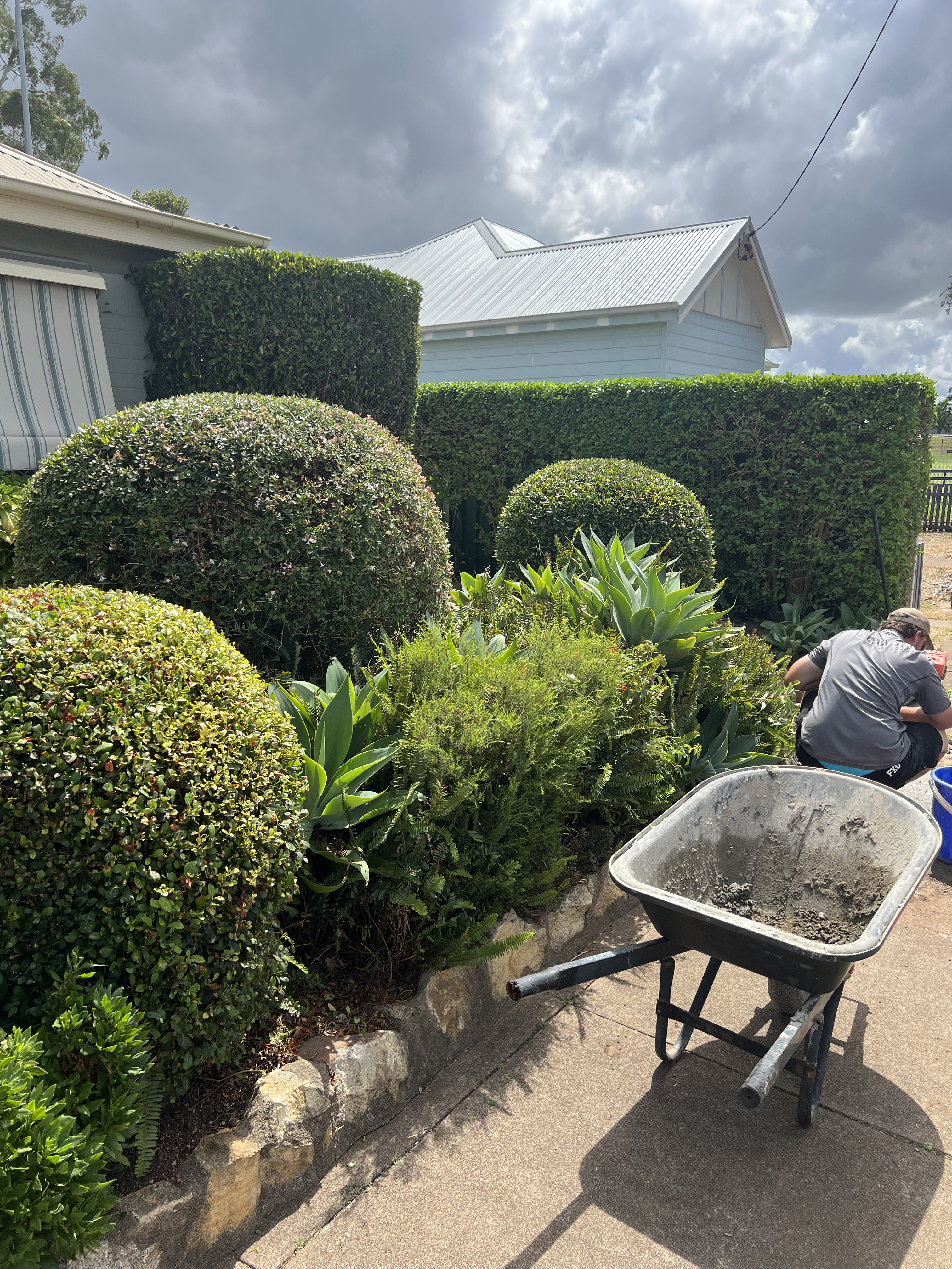 Hedge trimming work example 4