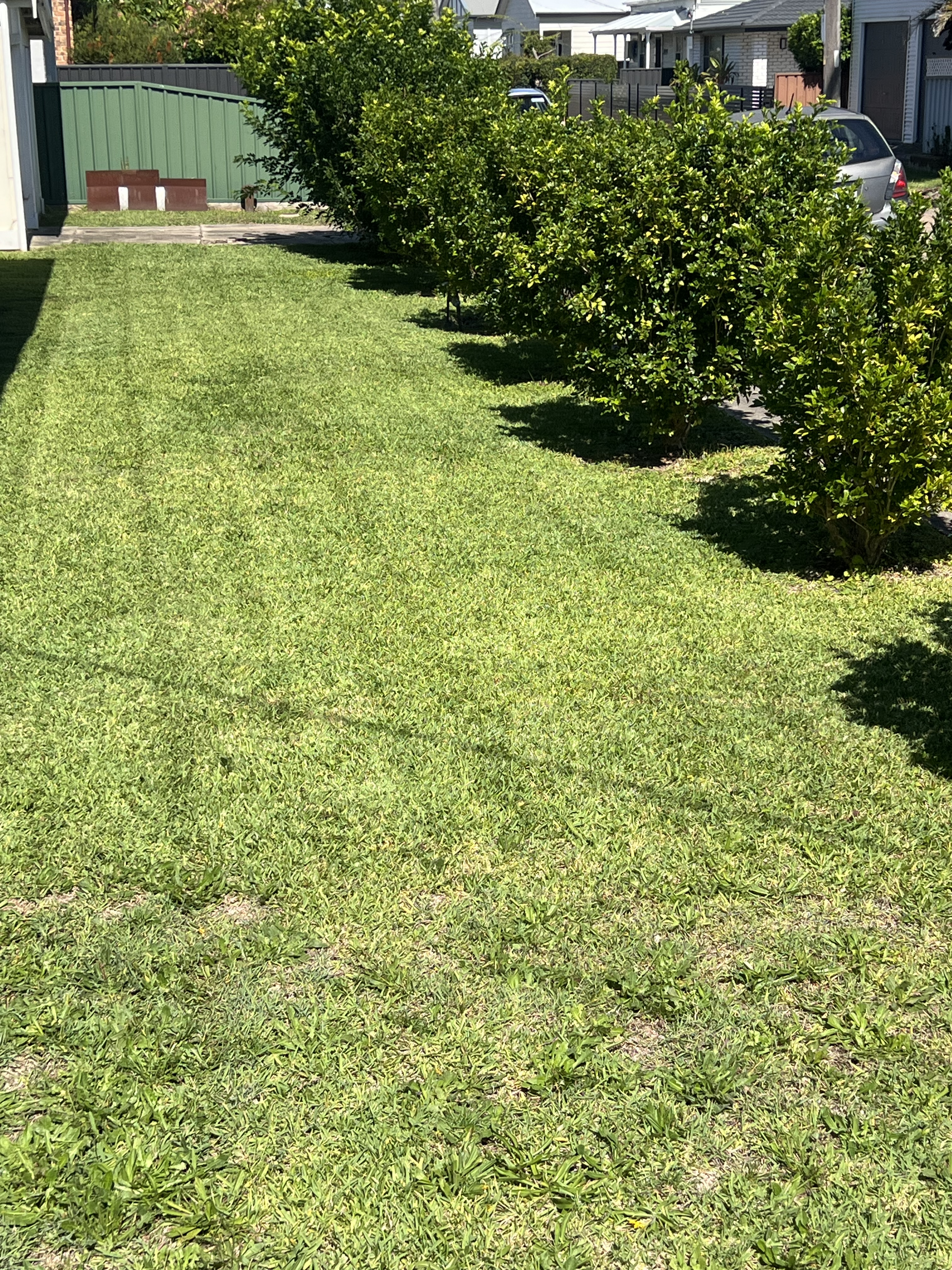 Professional Lawn Maintenance