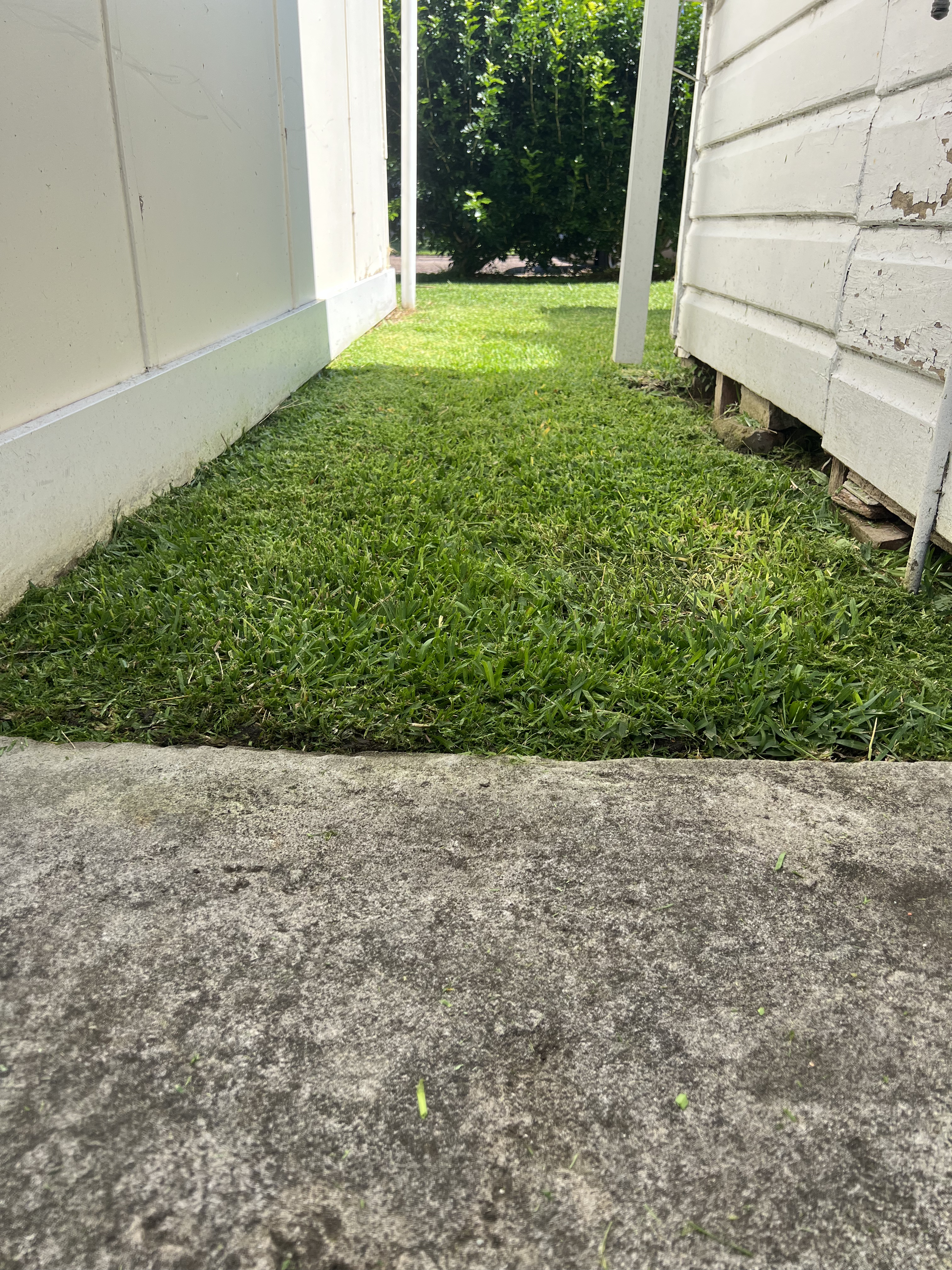Lawn maintenance work example 4