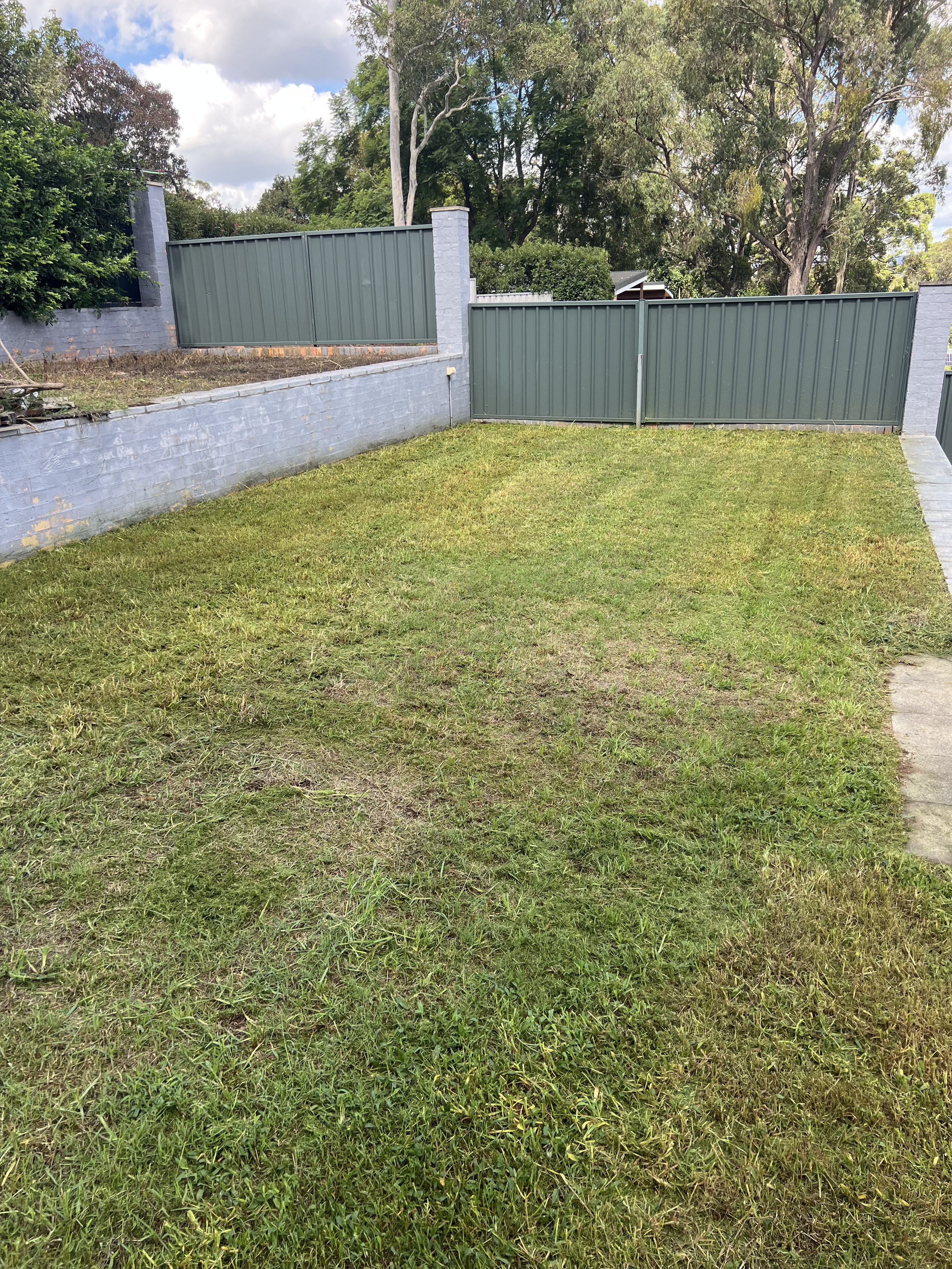 Lawn maintenance work example 5