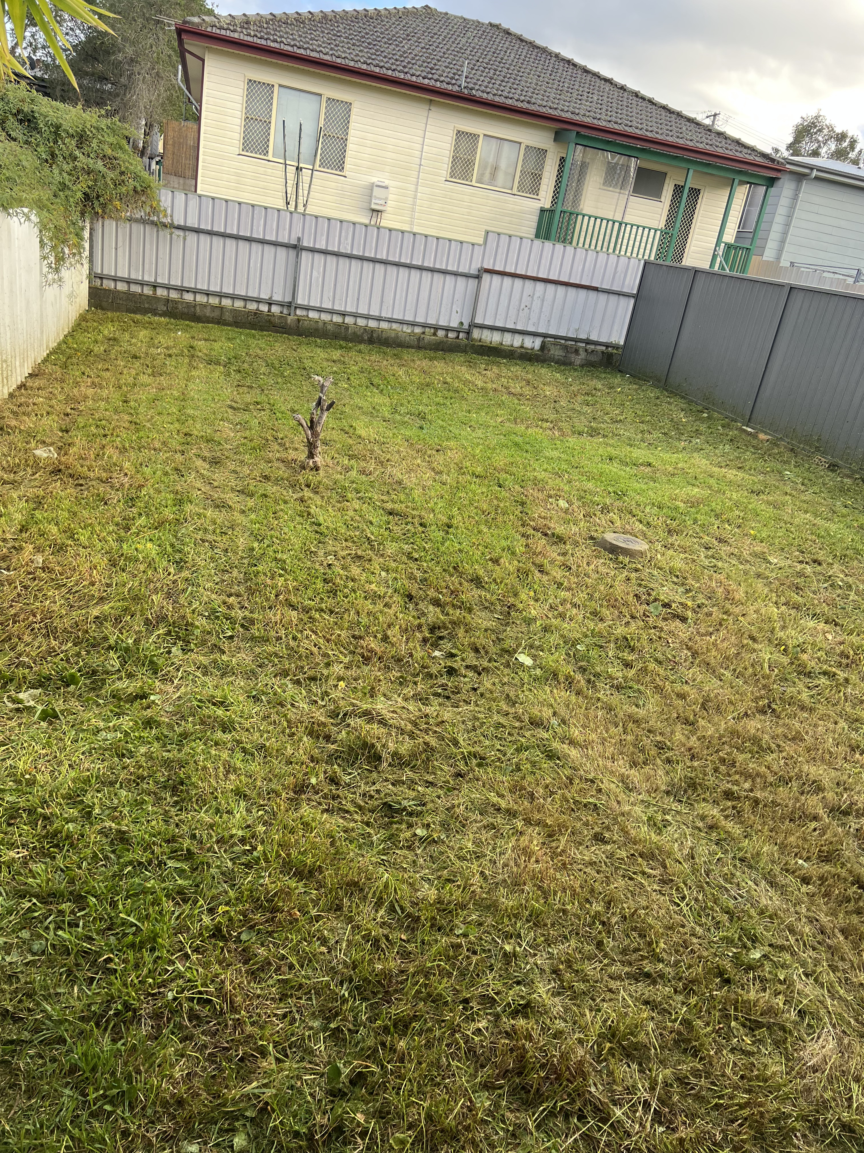 After lawn mowing