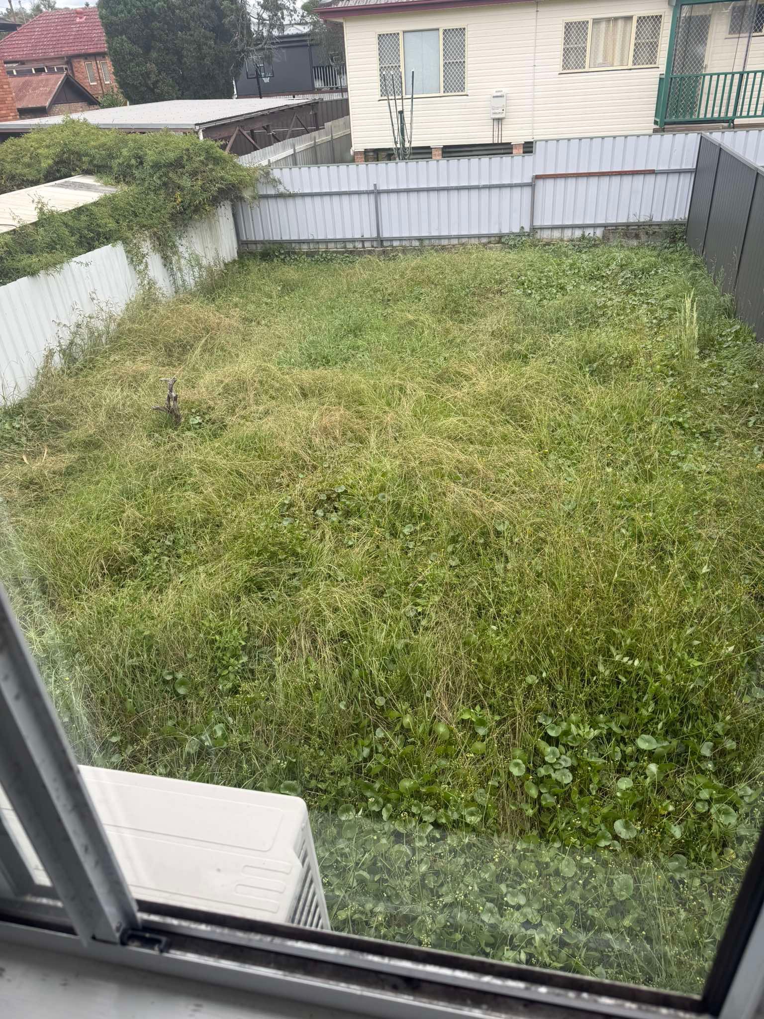 Before lawn mowing