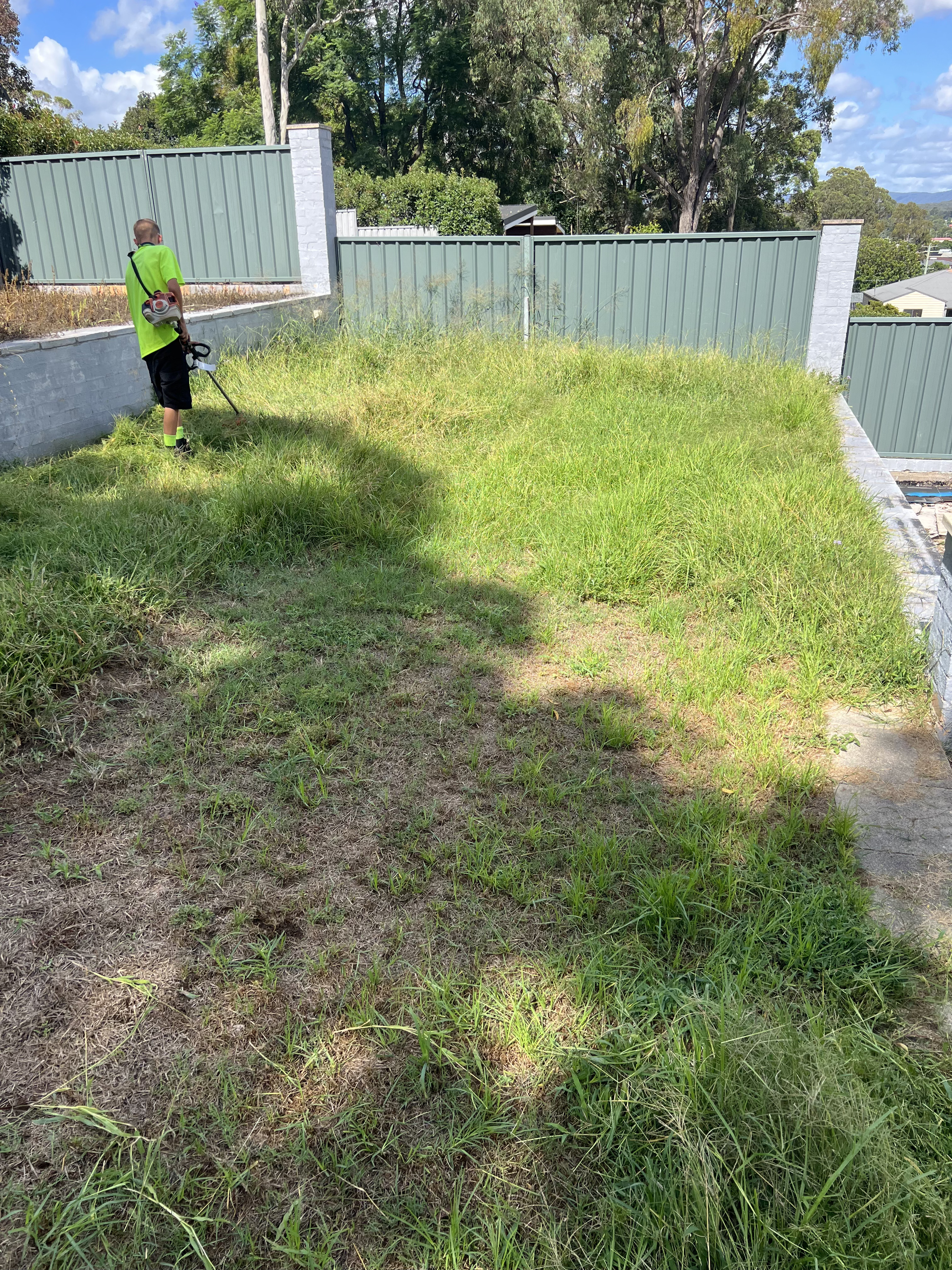 Before lawn mowing