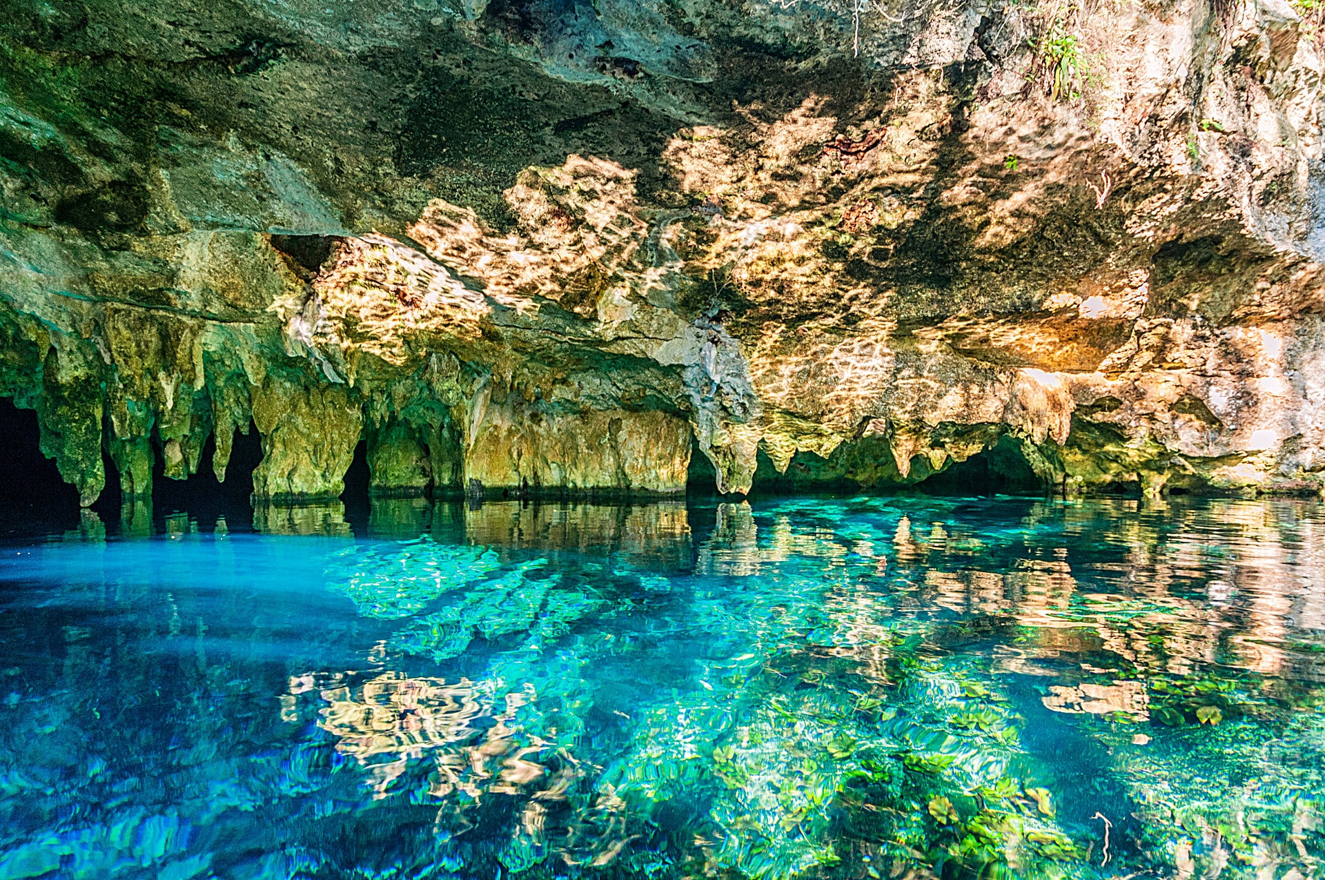 Cenote Swimming في المكسيك