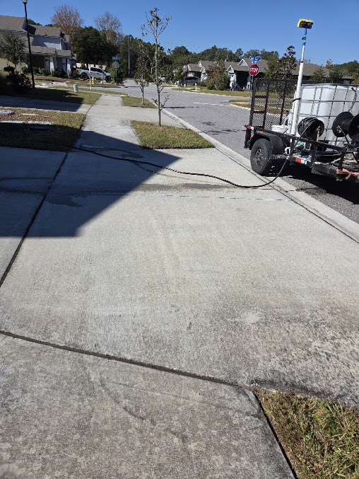 Brightened fence restored with gentle pressure washing in Nassau County