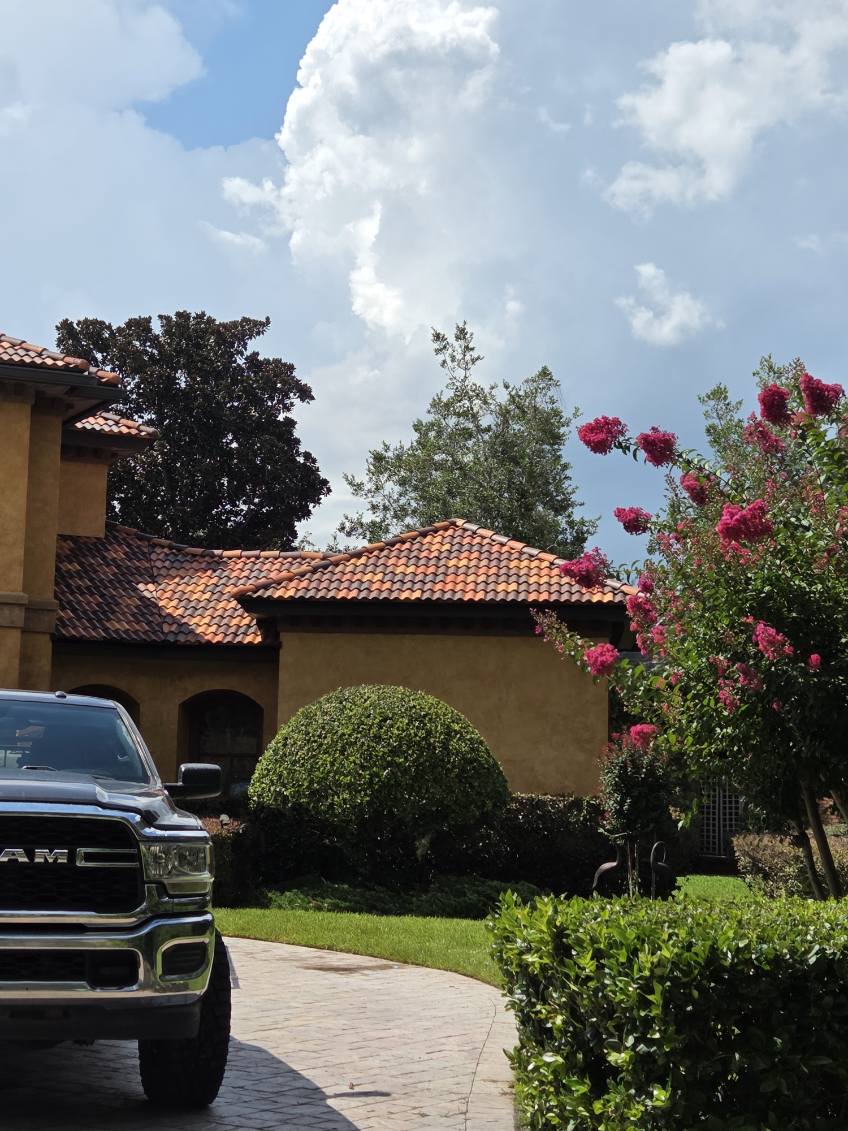 Cleaned concrete entry and steps restored in Jacksonville, FL