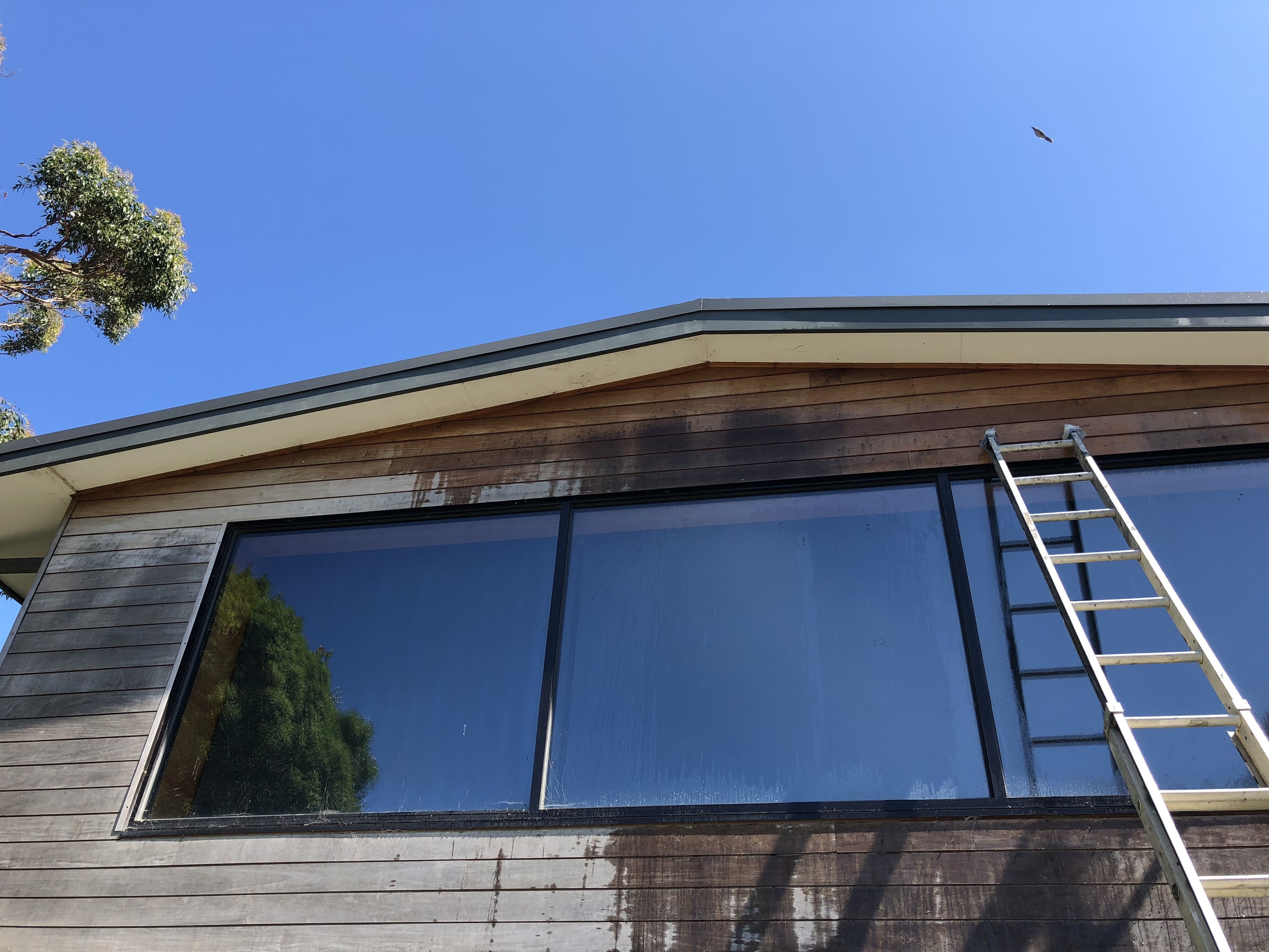 Coastal Timber Home Restoration photo 1
