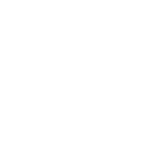 Cash on delivery icon