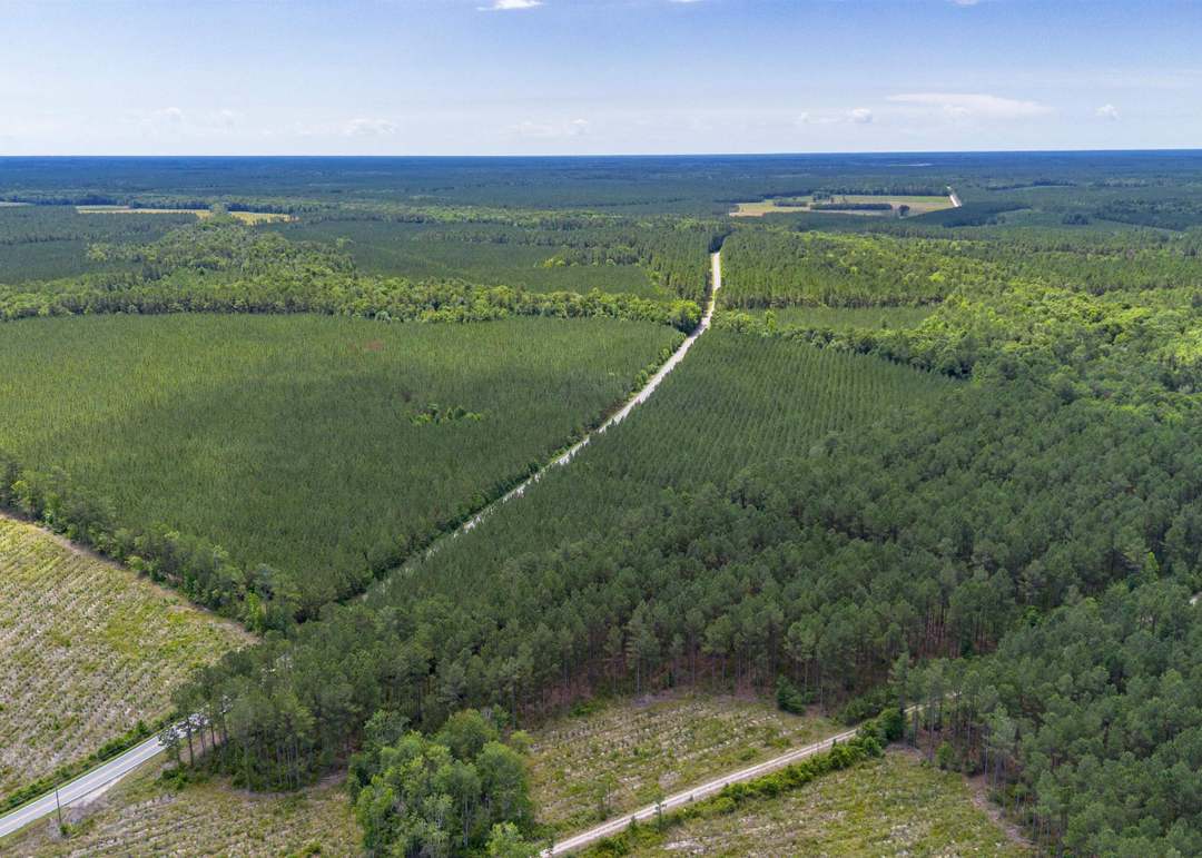 Aerial view of South Carolina timberland and acreage