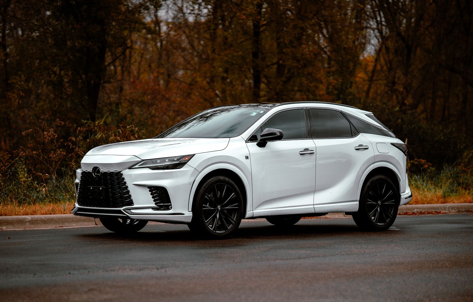 Lexus RX en Alpha Elite Auto Group