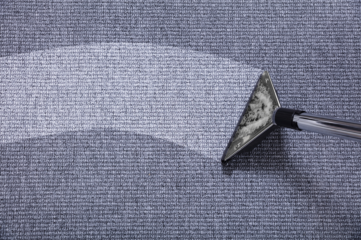Hamilton residential commercial carpet cleaning