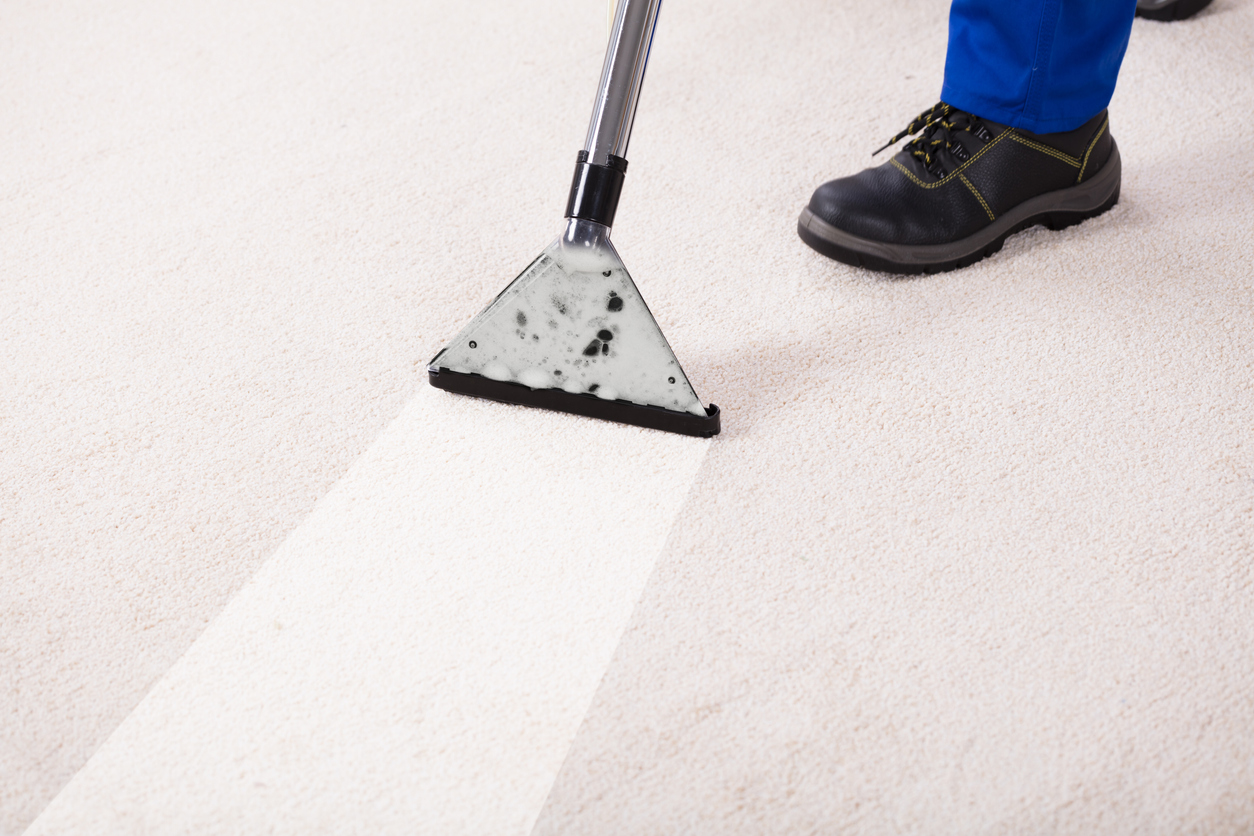 Residential Carpet Clean Hamilton