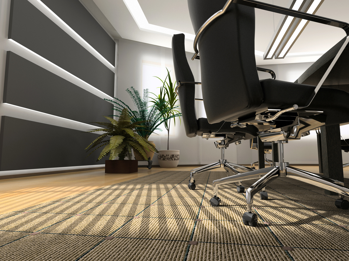 office carpet cleaning Hamilton