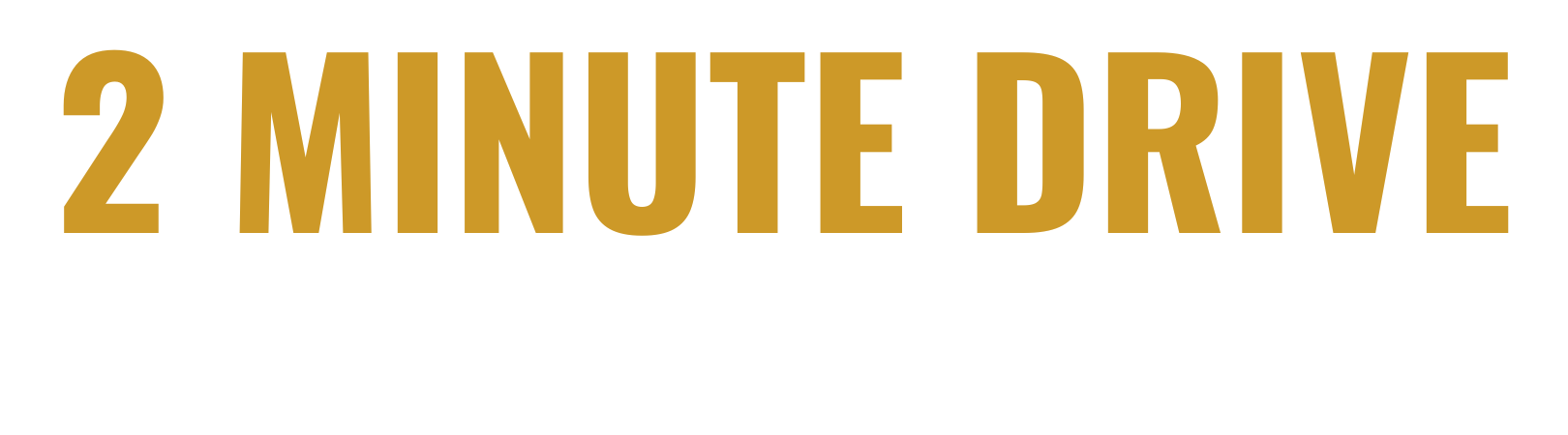 Jaime Elizondo Newsletter