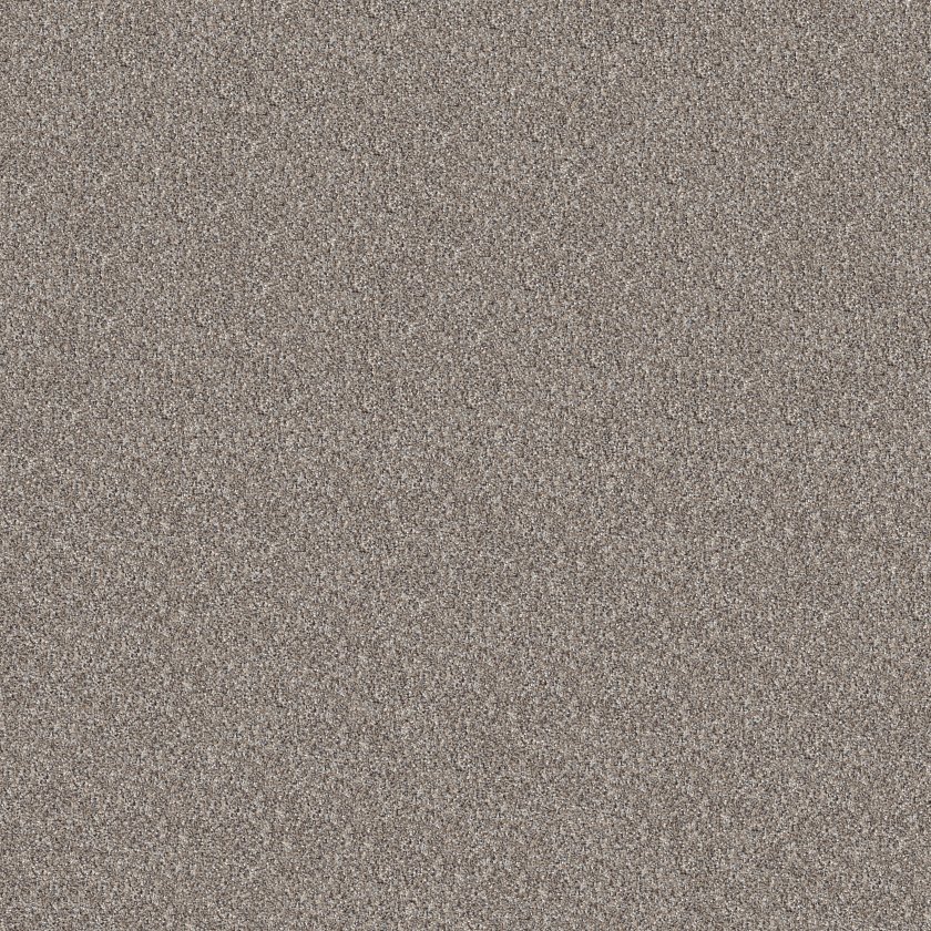 Shaw Floors Pet Perfect® Refined Beauty carpet