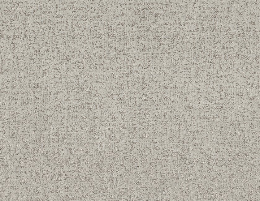 Shaw Floors Pet Perfect® Home Within carpet