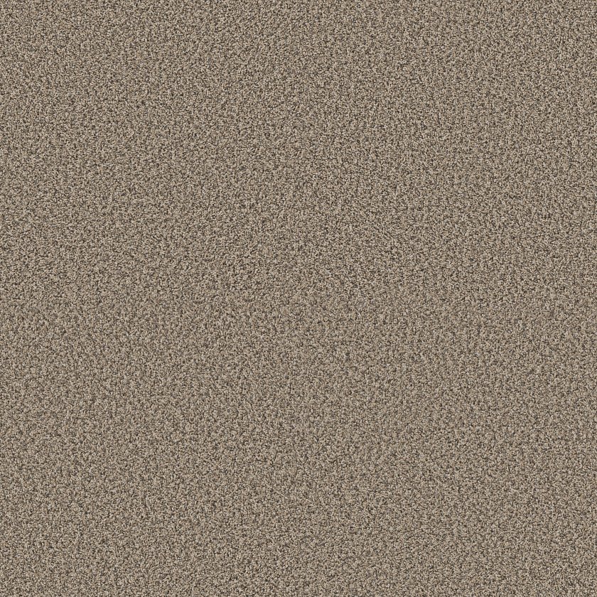 Shaw Floors Pet Perfect® Artistic Fusion carpet