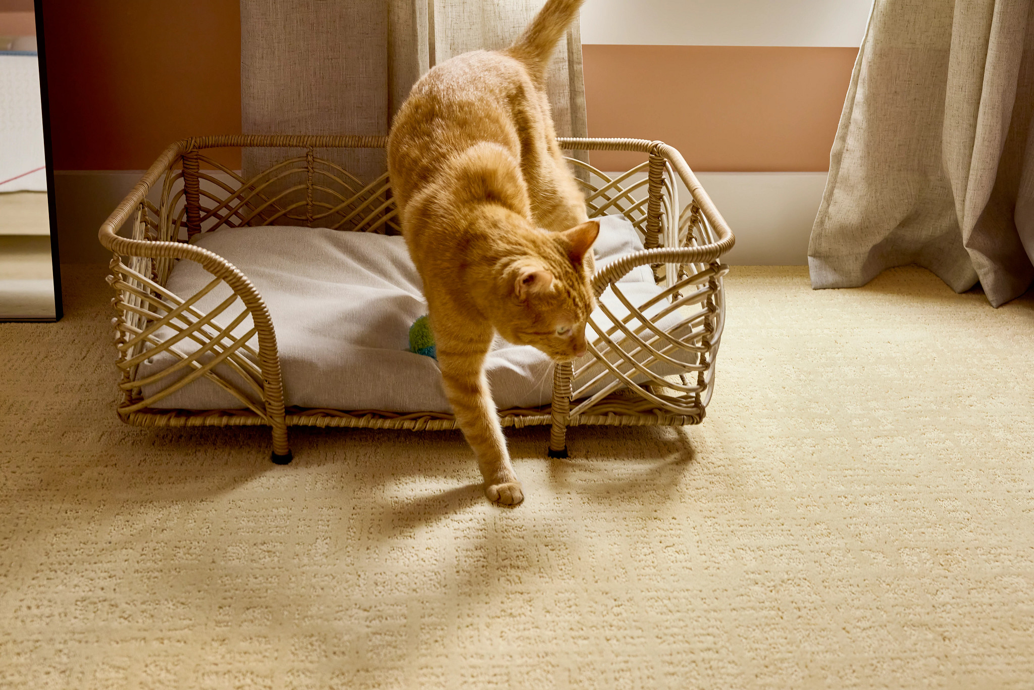 Shaw Floors Pet Perfect® carpet in a beautiful home