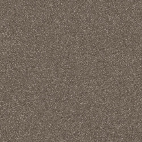 Shaw Floors Pet Perfect® Hard at Play II 12' carpet