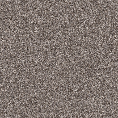 Shaw Floors Pet Perfect® Yes You Can III 12' carpet
