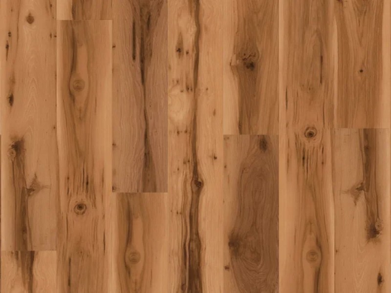 Natural Beauty Max 7 Enchanted Forest Smoked Amber luxury vinyl by Stanton