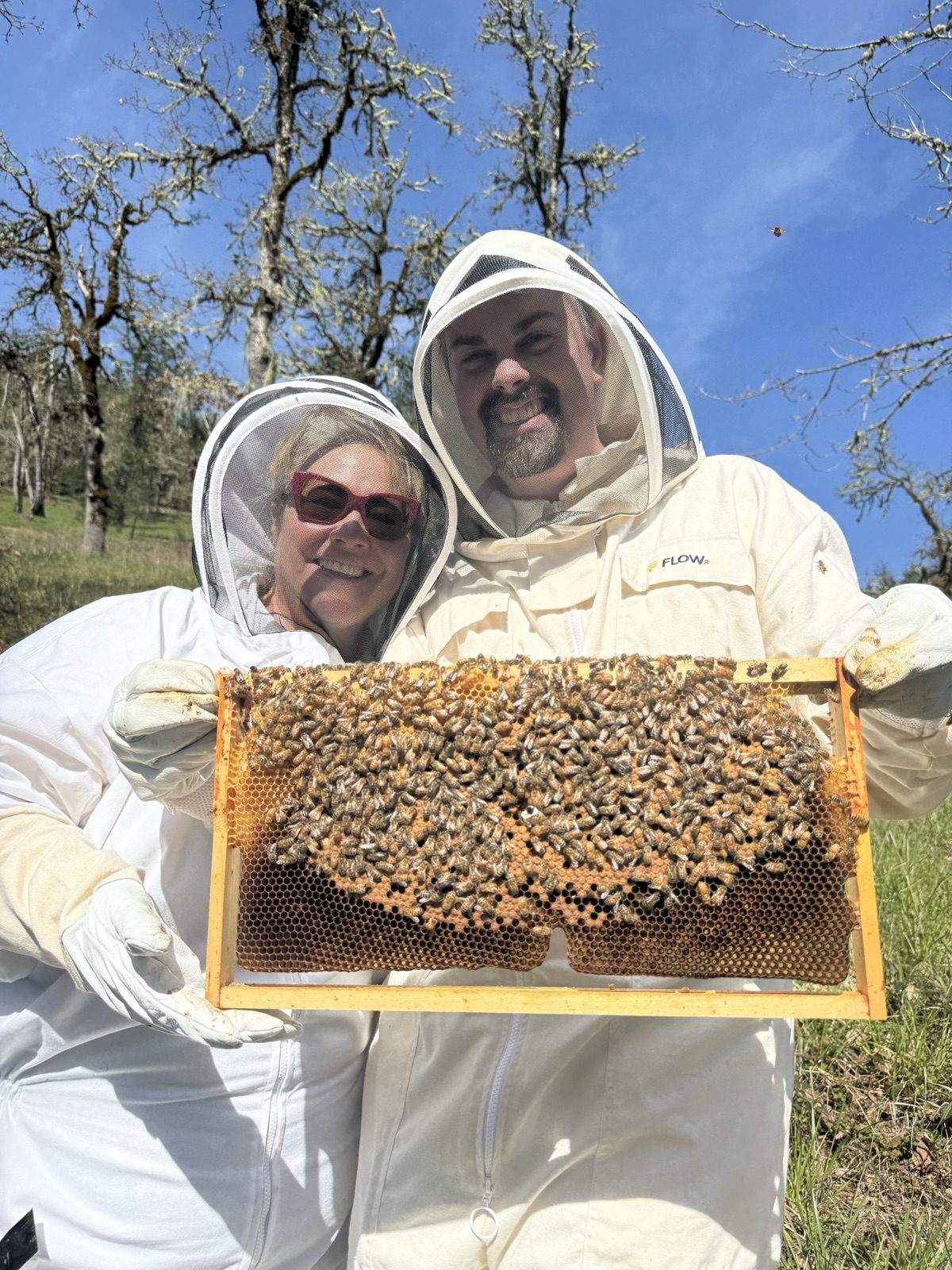 Two beekeepers smiling with a frame of bees