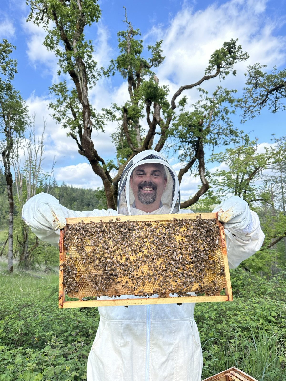 A beekeeper holding a frame of bees against a blue sky