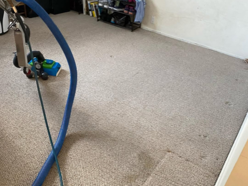  Carpet Cleaning