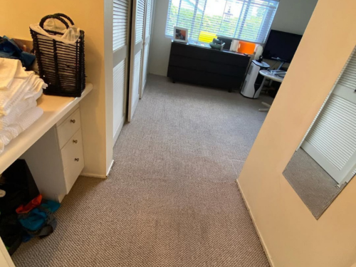 Carpinteria, CA Rug Cleaning