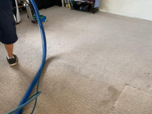 Carpinteria, CA Carpet Cleaning