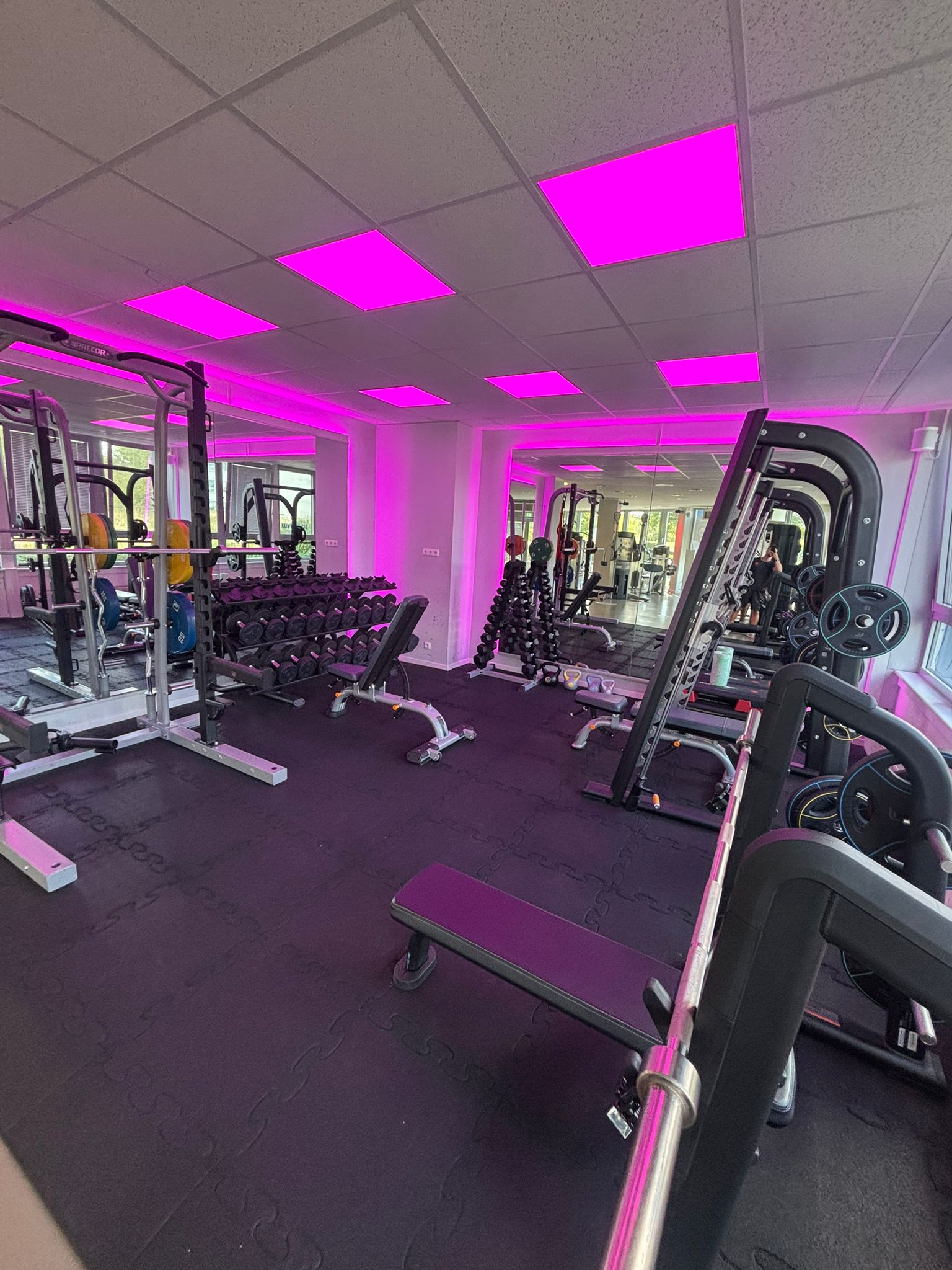 Freihantel-Bereich im Sportwerk
