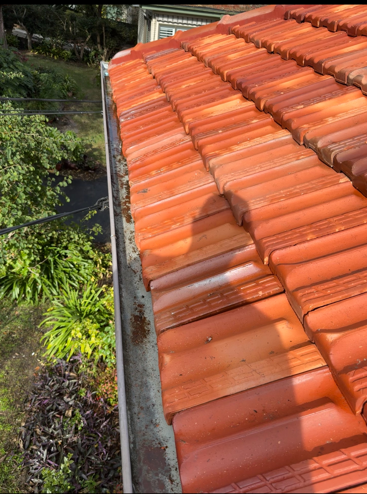 After: Gutter and Downpipe Cleaning